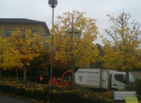 Estate / Commertial work